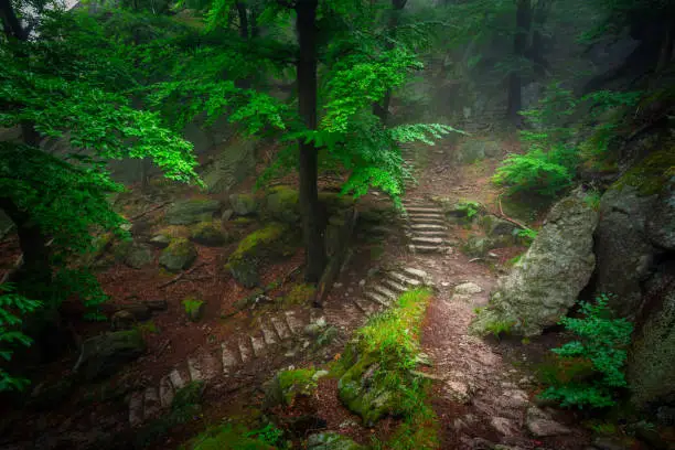 Photo of A foggy landscape of stairs from hellish Valley to Chojnik Castle in the Karkonosze Mountains. Poland