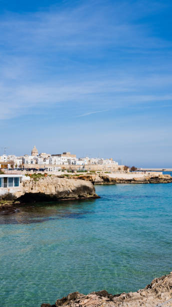 view and details of Monopoli, Puglia. Italy view and details of Monopoli, Puglia. Italy monopoli puglia stock pictures, royalty-free photos & images