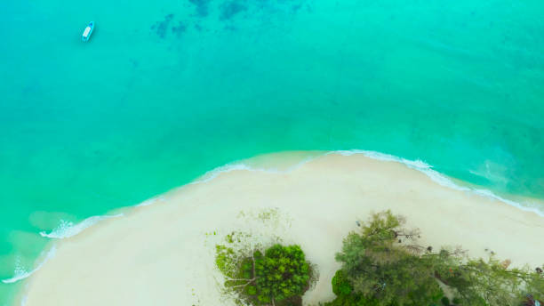 la plage de l’île tropicale avec du sable aussi littoral que l’île tropicale dans un récif corallien, mer bleue et turquoise avec le fond des bateaux - caïman photos et images de collection