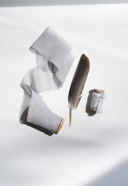 istock Silk light gray ribbon unwound with a feather in daylight lie on a white background with sides of light 1412639965