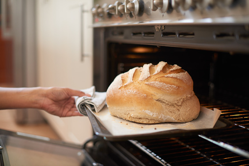 Closeup of a hand taking bread out of the oven in a kitchen. A fresh warm loaf of homemade brioche for breakfast. A baker holding a baking tray with a loaf of sourdough bread at a hotel or restaurant