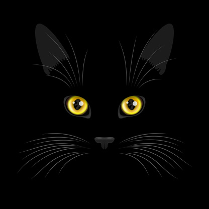 Black cat face with rounded yellow eyes and big vibrissae over black background, funny pet