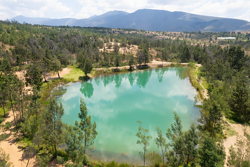 views through green trees over a large blue lake in a forest background
