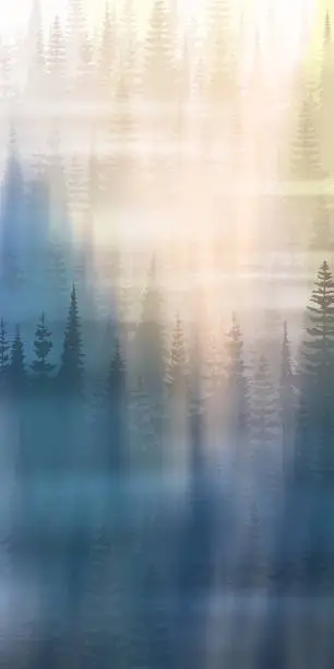Vector illustration of Coniferous forest in the morning fog, vertical