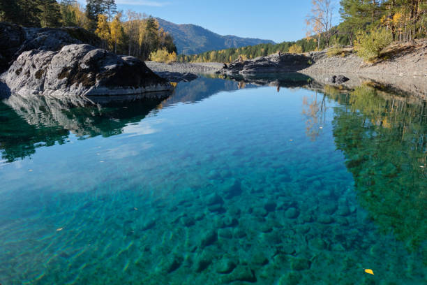 Turquoise clear water in a mountain lake. Autumn Altai. Turquoise clear water in a mountain lake. Autumn Altai. Reflections of the forest in the water. bottom the weaver stock pictures, royalty-free photos & images