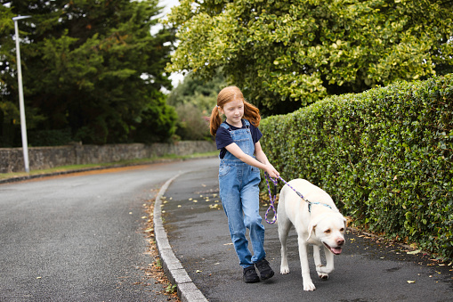 Auburn haired little girl walking her dog in suburbia. Focus on girl.