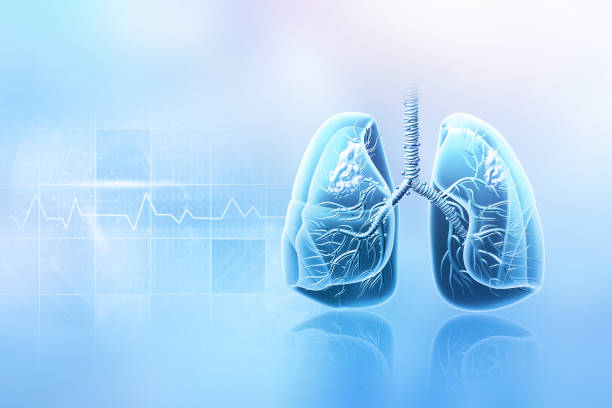 istock Human lungs anatomy on blurred medical background. 3d illustration 1412647370