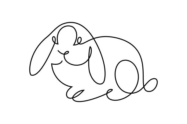 Lop rabbit Cute bunny rabbit in continuous line art drawing style. Domestic lop rabbit black linear sketch isolated on white background. Vector illustration hare and leveret stock illustrations