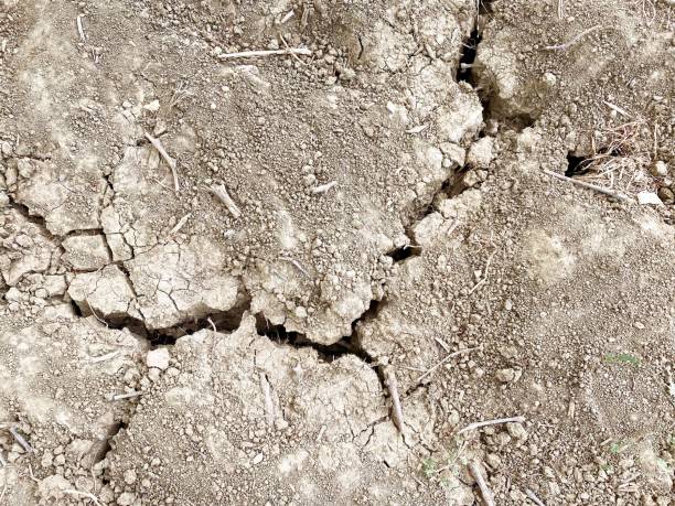 istock Texture of dry cracked soil due to global warming effect, aridity, drought. Top view. Nature background. 1412647820