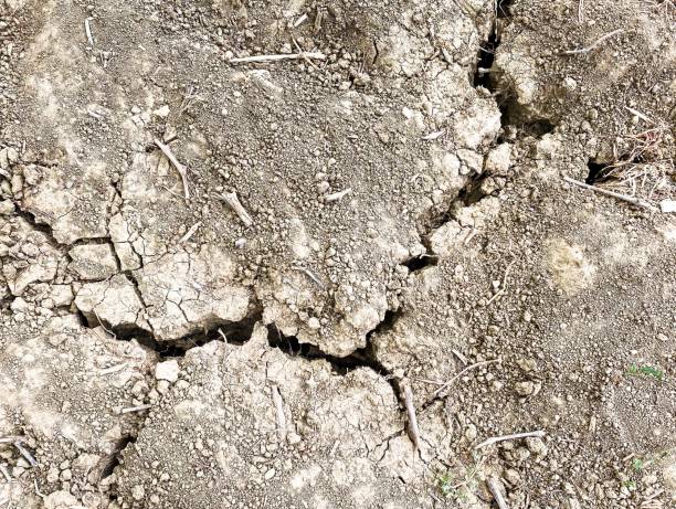 istock Texture of dry cracked soil due to global warming effect, aridity, drought. Top view. Nature background. 1412647866