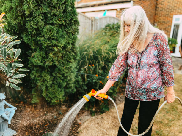 istock Senior woman watering garden using hose during summer 1412651291