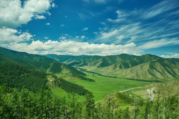 Mountain Altai. stock photo