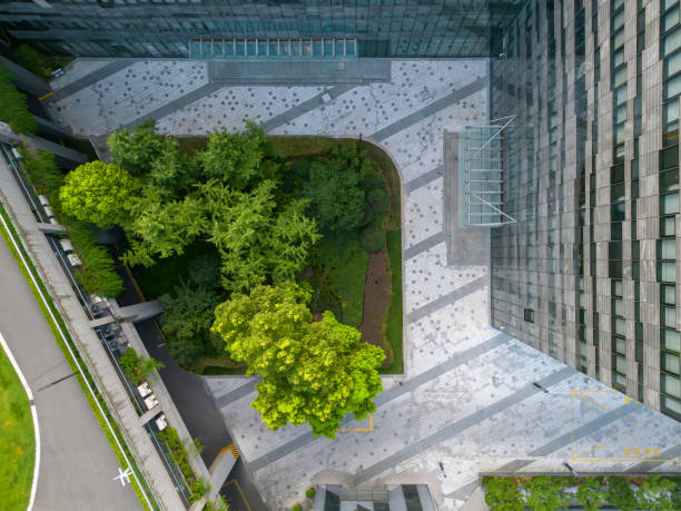 istock Big tree next to modern building in drone view 1412653180