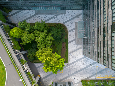 Big tree next to modern building in drone view
