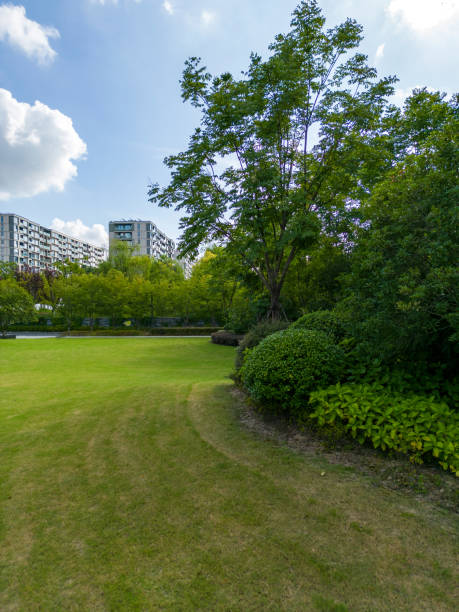 istock Lawn in front of modern buildings in drone view 1412655218