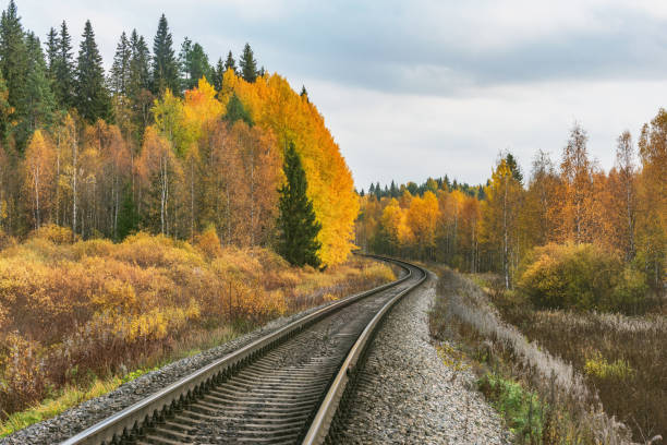 Railway track by the station in the autumn forest.