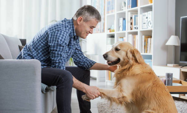 istock Man and his dog at home 1412658849