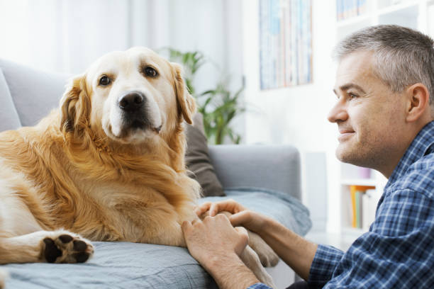 istock Cute dog and his owner 1412660039