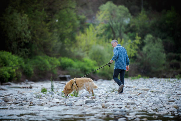 Man and dog walking together in nature, healthy lifestyle and pet care concept