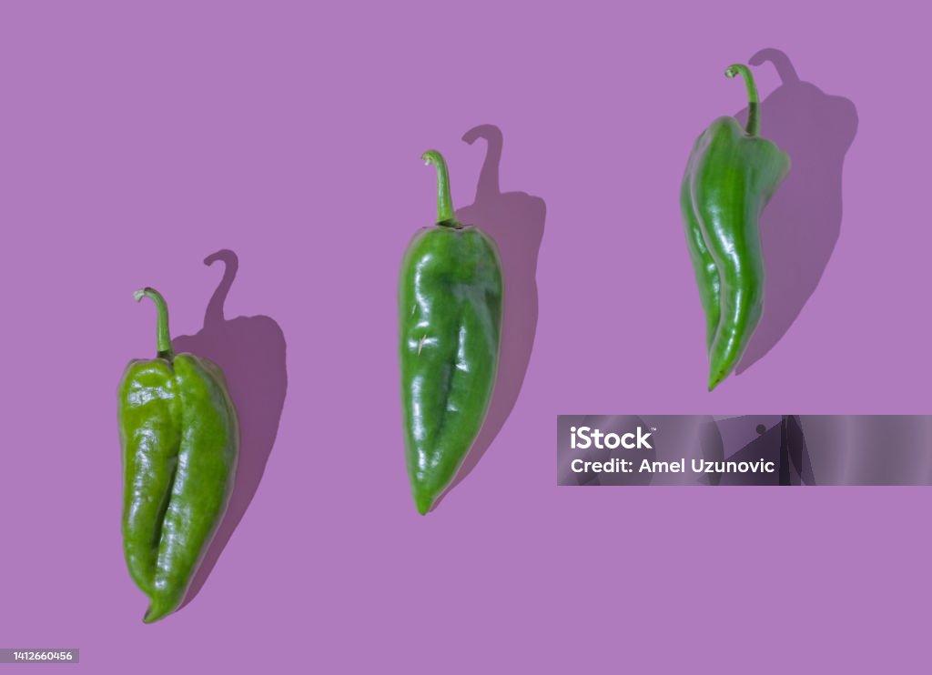 Three green peppers isolated on a purple background. Creative minimal organic healthy food design. Vibrant color vegetable background. Flat lay arrangement. Art Stock Photo