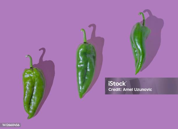 Three Green Peppers Isolated On A Purple Background Creative Minimal Organic Healthy Food Design Vibrant Color Vegetable Background Flat Lay Arrangement Stock Photo - Download Image Now