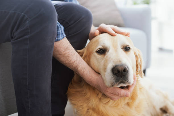 istock Man cuddling his beautiful dog 1412660471