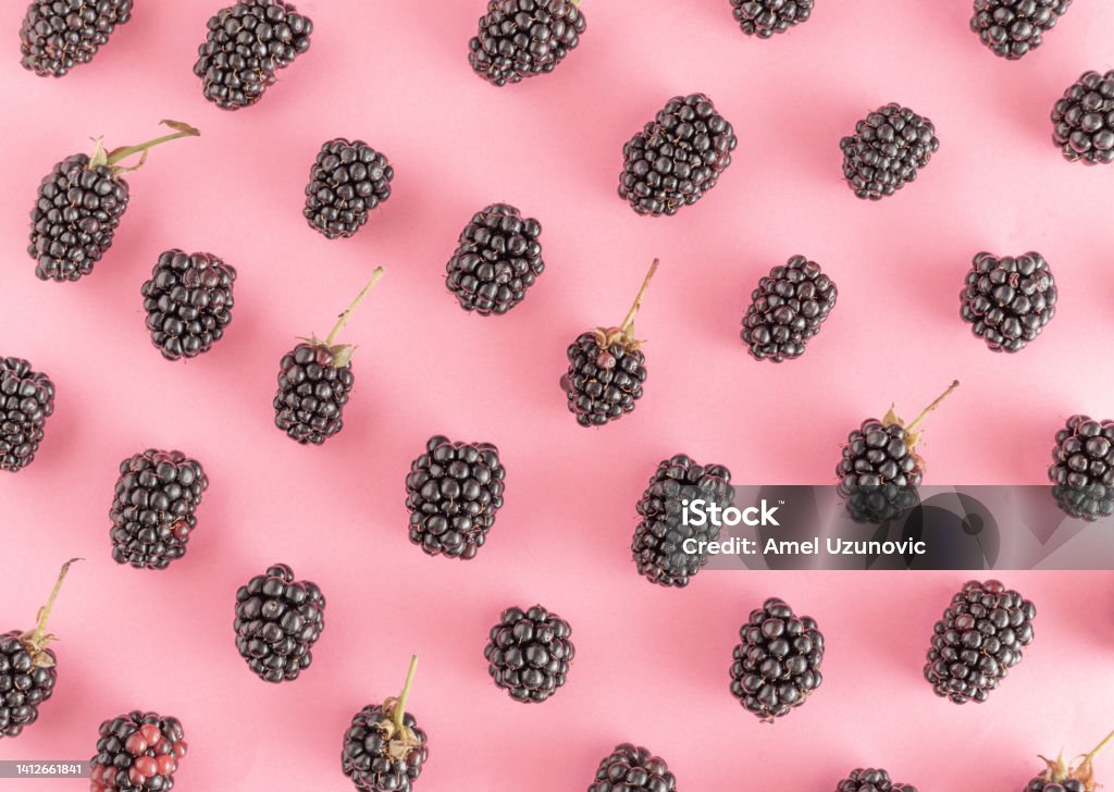 Colorful fresh blackberry pattern on a light purple background. Organic fruits. Vegetarian food, forest fruits. Abstract Stock Photo