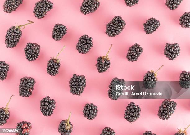 Colorful Fresh Blackberry Pattern On A Light Purple Background Organic Fruits Vegetarian Food Forest Fruits Stock Photo - Download Image Now