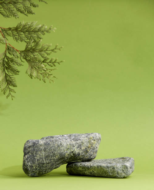 istock Stone podium with pine tree. Branch, shadow, stone, green background. Display for cosmetic. 1412661955