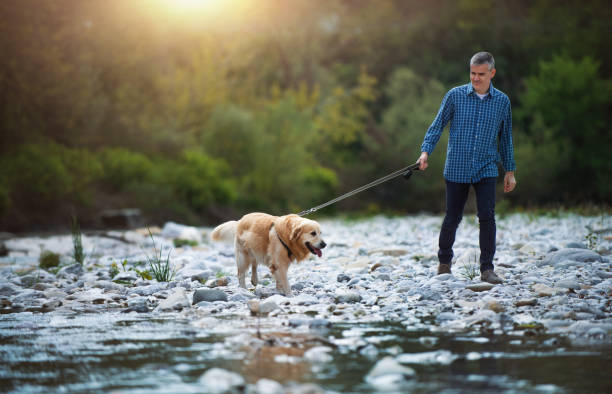 istock Man and dog walking in nature 1412662021