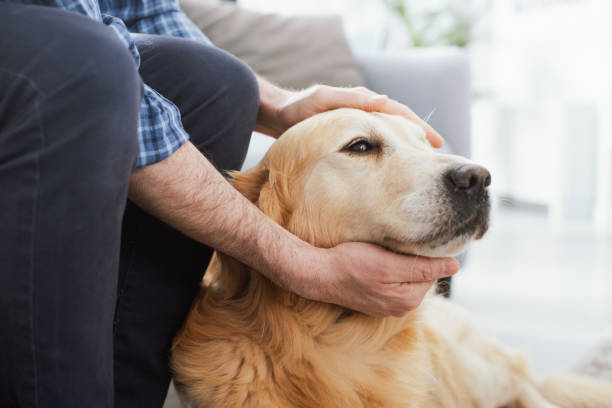 istock Man cuddling his beautiful dog 1412662067