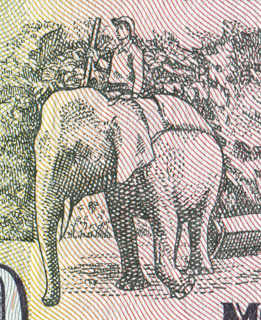 Elephant Rider Pattern Design on Vietnamese Currency