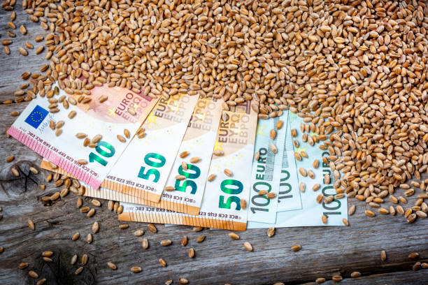 istock Concept of rising costs for wheat 1412669314