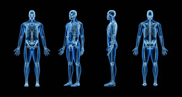Photo of Accurate xray image of human skeletal system with adult male body contours on black background 3D rendering illustration. Anatomy, osteology, medical, healthcare, science concept.