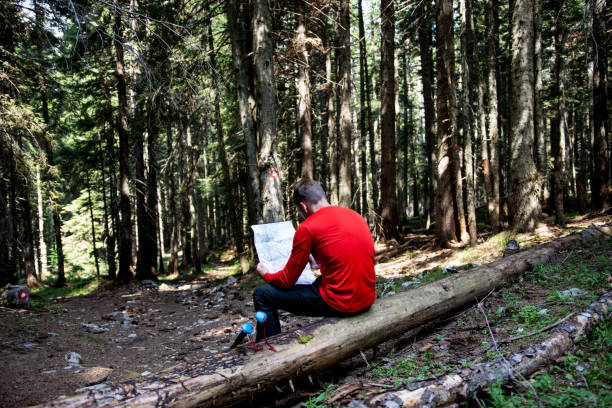 istock Young tourist man sitting on logs in forest with map in hands 1412673038