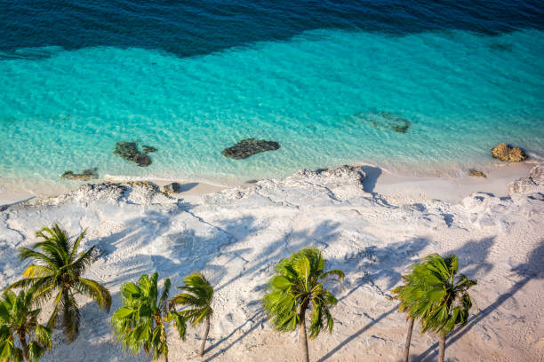 istock Tropical paradise: Cancun idyllic caribbean beach from above, Riviera Maya 1412675585