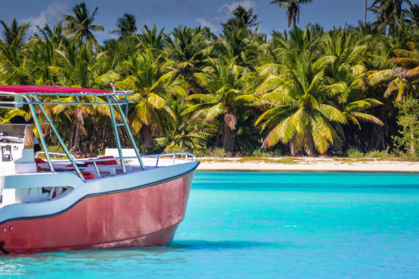istock Tropical paradise: caribbean beach with single palm tree and boat, Punta Cana 1412675718