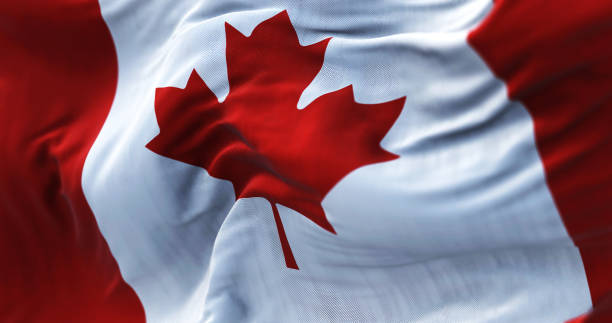 nahaufnahme der im wind wehenden kanadischen nationalflagge - canadian flag canada flag freedom stock-fotos und bilder