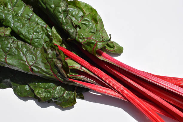 ruby red rhubard swiss chard fresh organic leafy greens - ruby red chard - fotografias e filmes do acervo