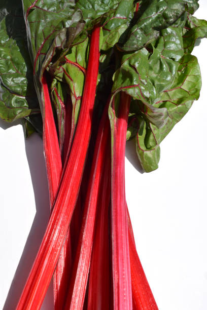 ruby red rhubard swiss chard fresh organic leafy greens - ruby red chard fotos - fotografias e filmes do acervo