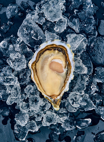 Open fresh raw oyster clams on ice isolated and ready to eat.