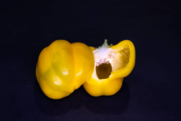 Yellow bellpepper or capsicum isolated on black background