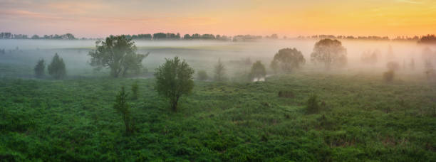 istock Beautiful spring sunrise over river banks 1412686731