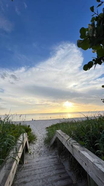 istock BEAUTY AT THE BEACH SUNSET 1412689740