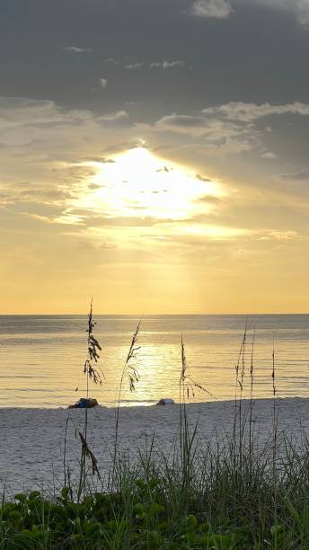 istock BEAUTY AT THE BEACH SUNSET 1412689756