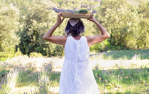 Woman holding a basket of lavender on her head