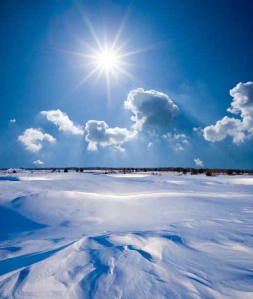 winter landscape in a snow under a sparkle sun