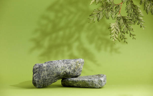 istock Stone podium with pine tree. Branch, shadow, stone, green background. Display for cosmetic. 1412690320