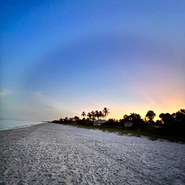 istock BEAUTIFUL MORNING AT THE BEACH 1412691990