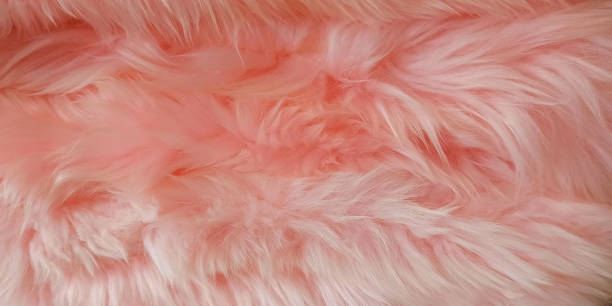 istock background of pink fur with long pile 1412695985